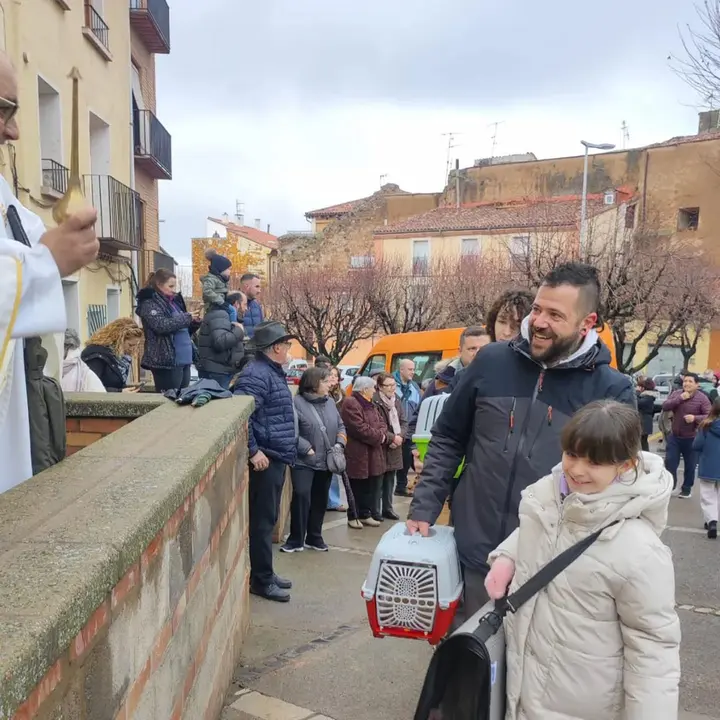 San Ant&oacute;n en Tarazona 2026 1.webp