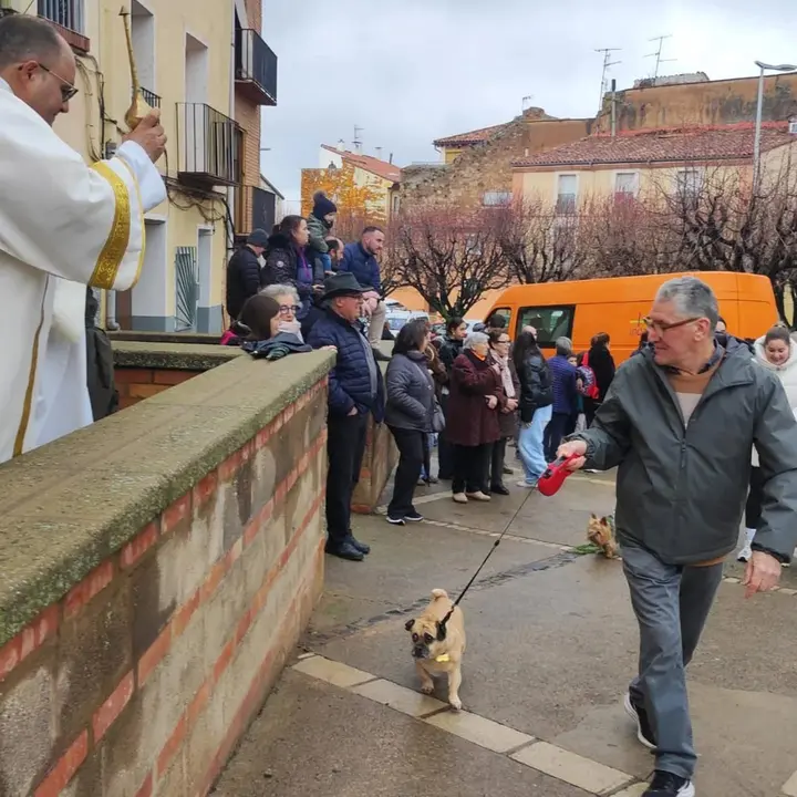 San Ant&oacute;n en Tarazona 2026 7.webp