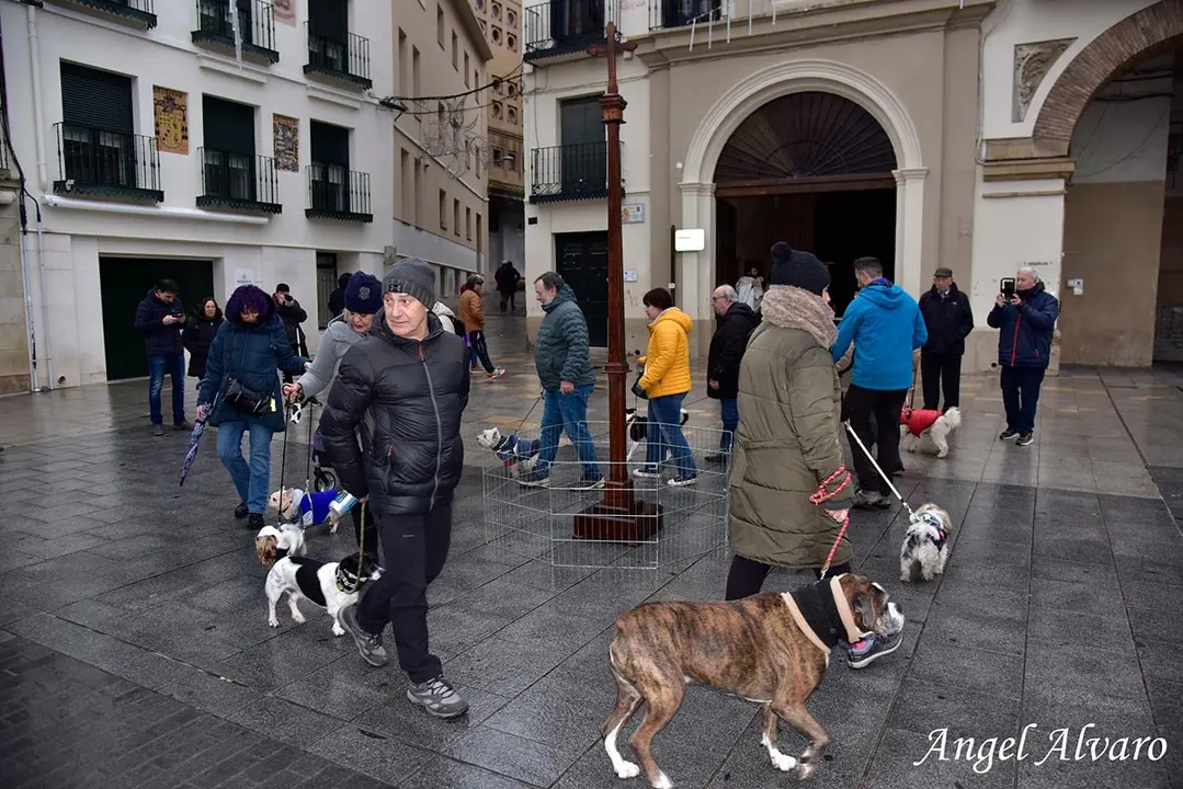 San Ant&oacute;n en Tudela 2026 1