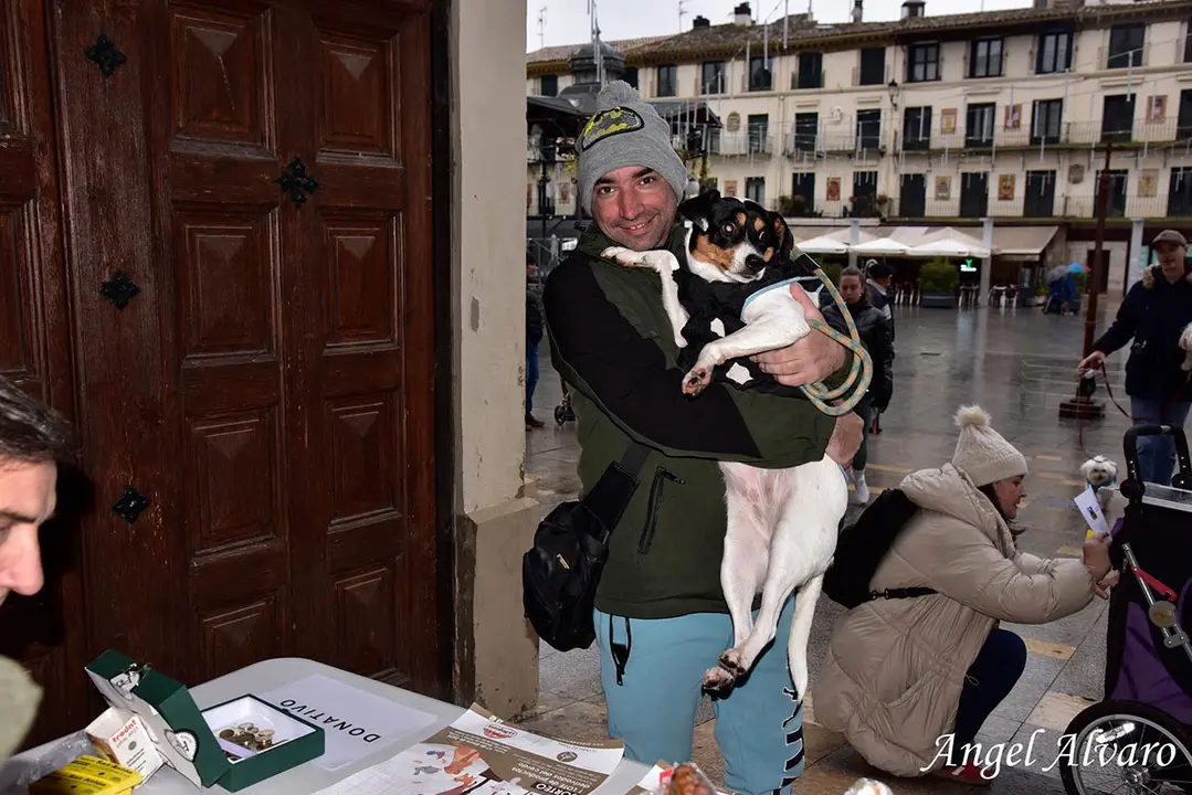 San Ant&oacute;n en Tudela 2026 3