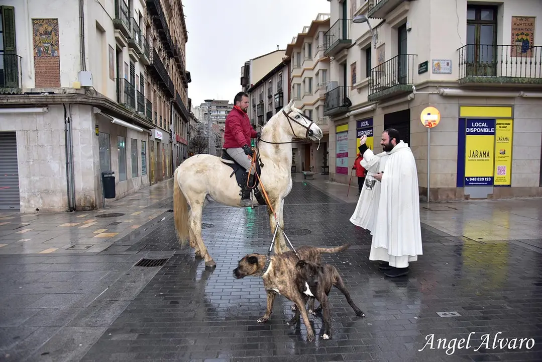 San Ant&oacute;n en Tudela 2026 6