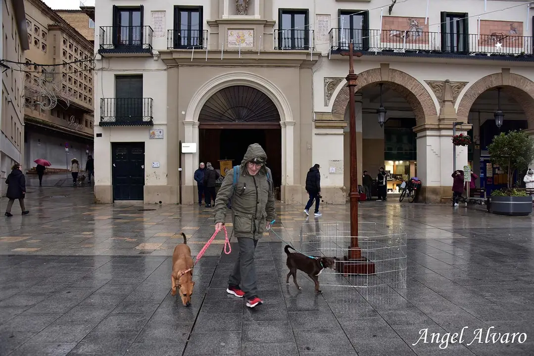 San Ant&oacute;n en Tudela 2026 8