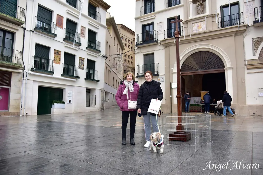 San Ant&oacute;n en Tudela 2026 7