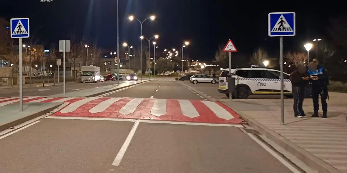 La Polic&iacute;a Local identifica al conductor que atropell&oacute; a un beb&eacute; y dos mujeres en Paseo de los Poetas de Tudela gracias a un video grabado por una de las peatones