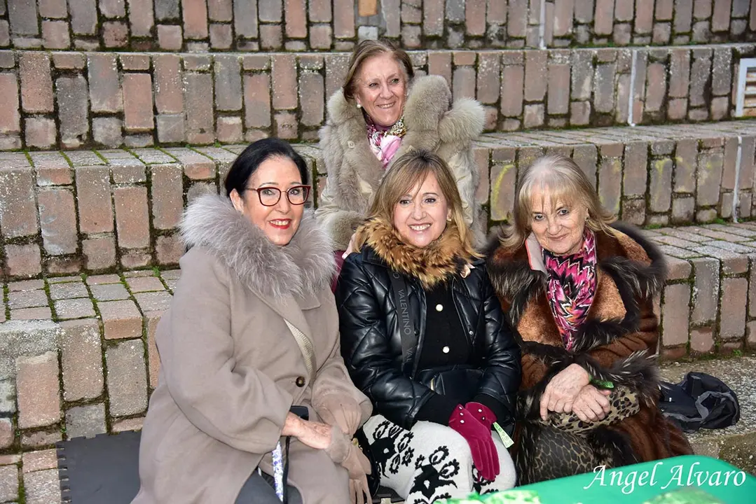 D&iacute;a Contra el C&aacute;ncer en Tudela 2026 7