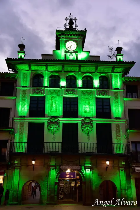 D&iacute;a Contra el C&aacute;ncer en Tudela 2026 12