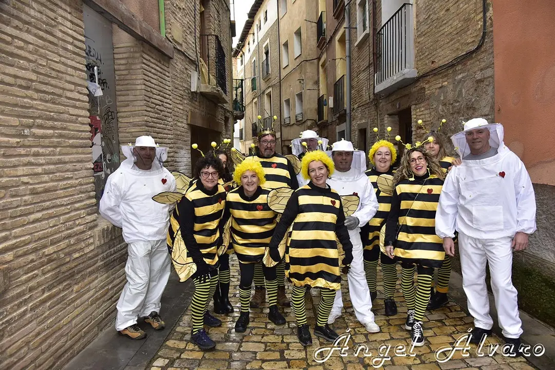 Carnaval en Tudela 2026 6