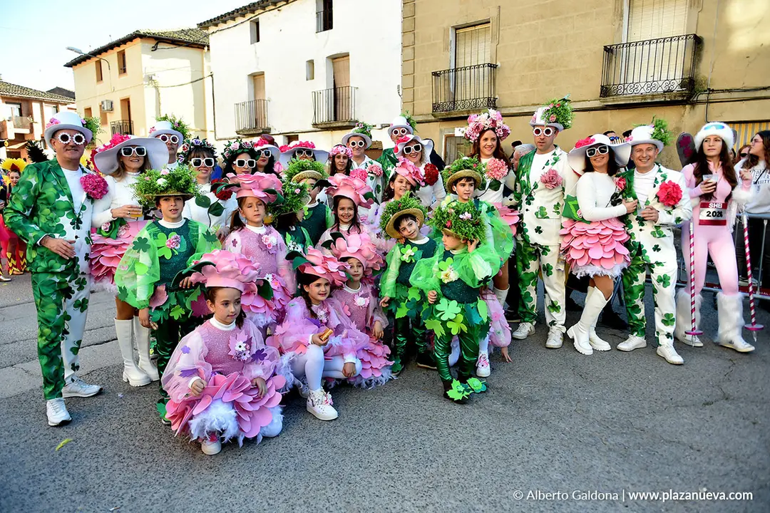 Carnaval en Villafranca 2026 2