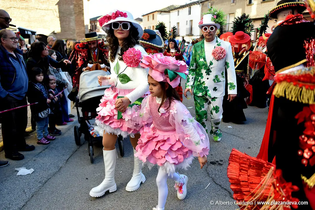 Carnaval en Villafranca 2026 12