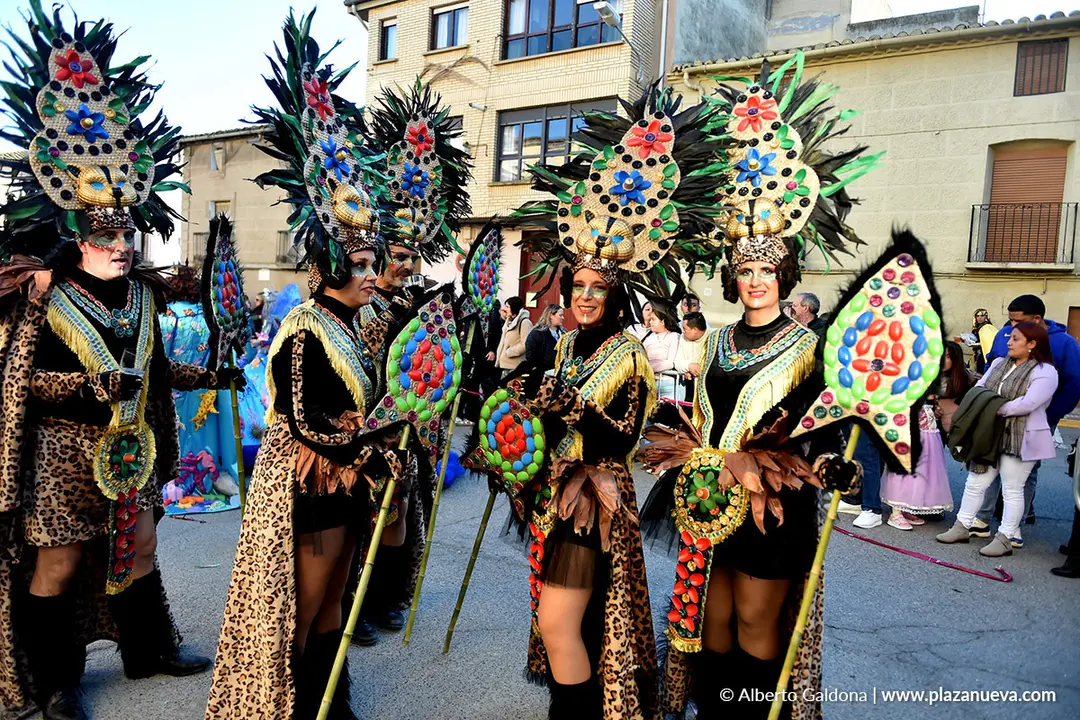 Carnaval en Villafranca 2026 13