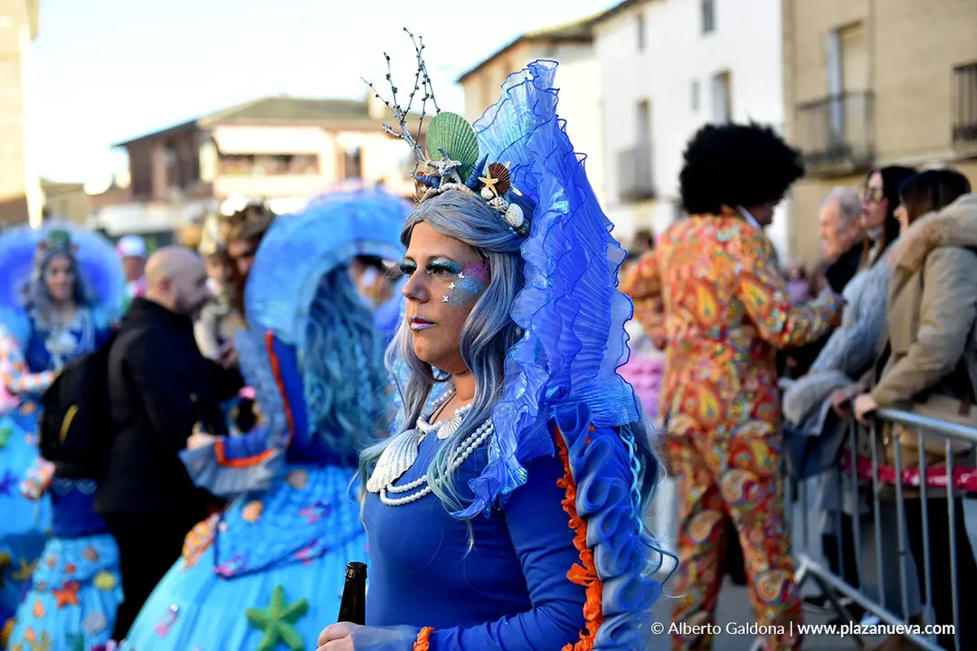 Carnaval en Villafranca 2026 14