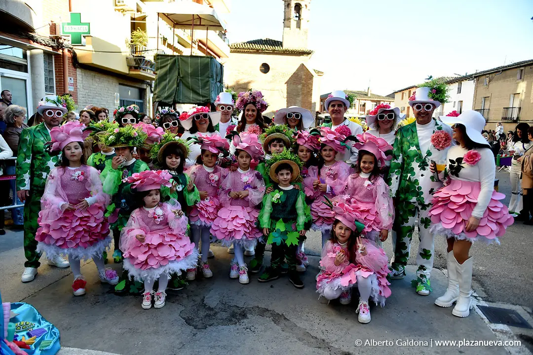 Carnaval en Villafranca 2026 19