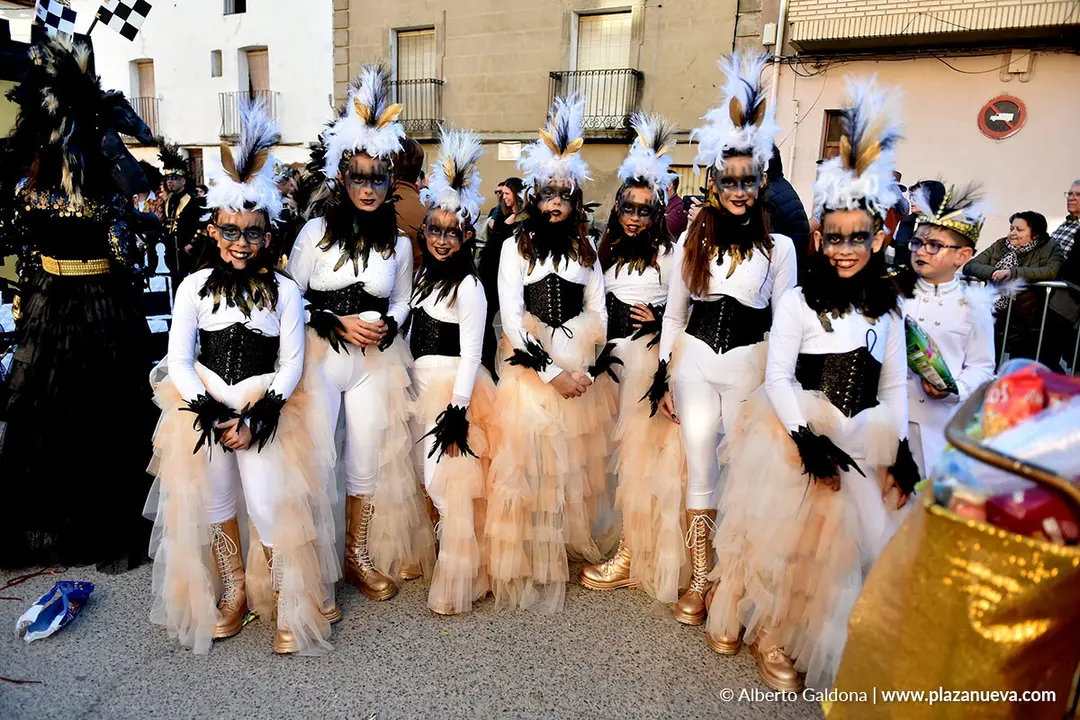 Carnaval en Villafranca 2026 22