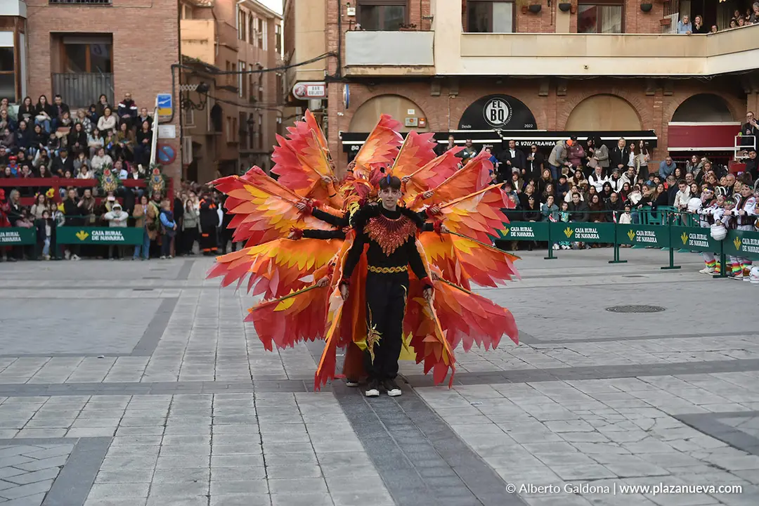 Carnaval en Villafranca 2026 38