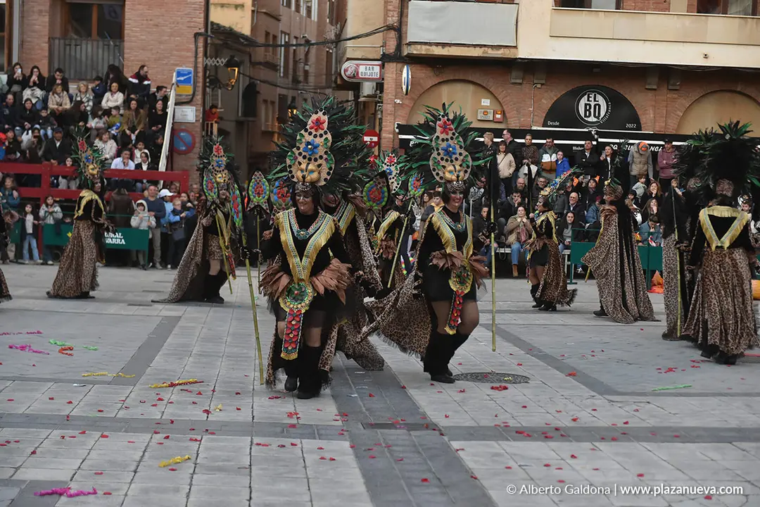 Carnaval en Villafranca 2026 44