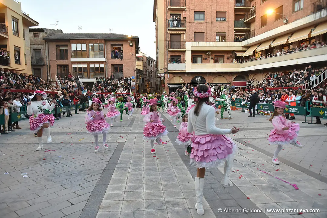 Carnaval en Villafranca 2026 47