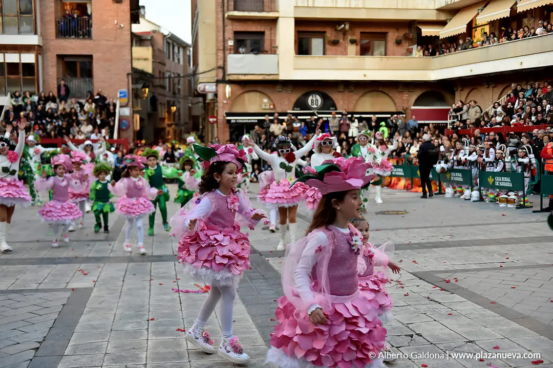 Carnaval en Villafranca 2026 48