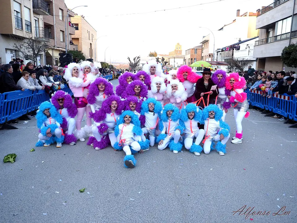 Carnaval en Ribaforada 2026 6