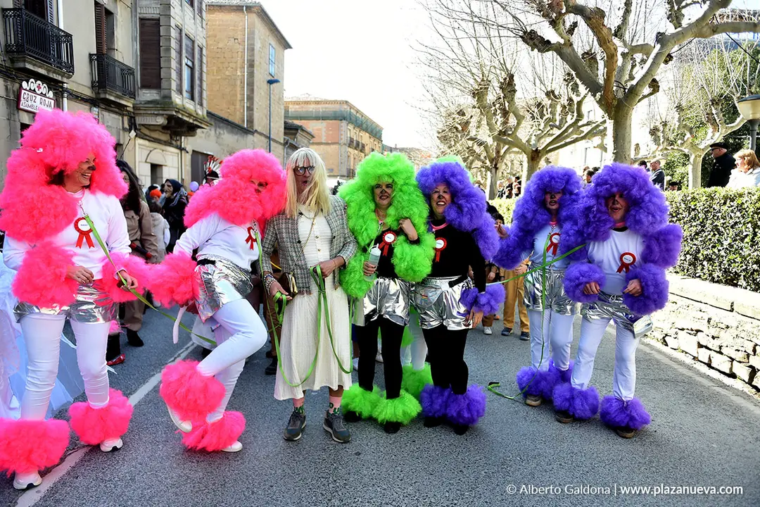 Carnaval en Tafalla 2026 47