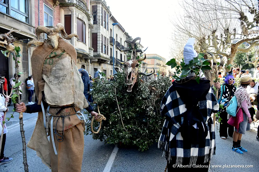 Carnaval en Tafalla 2026 73