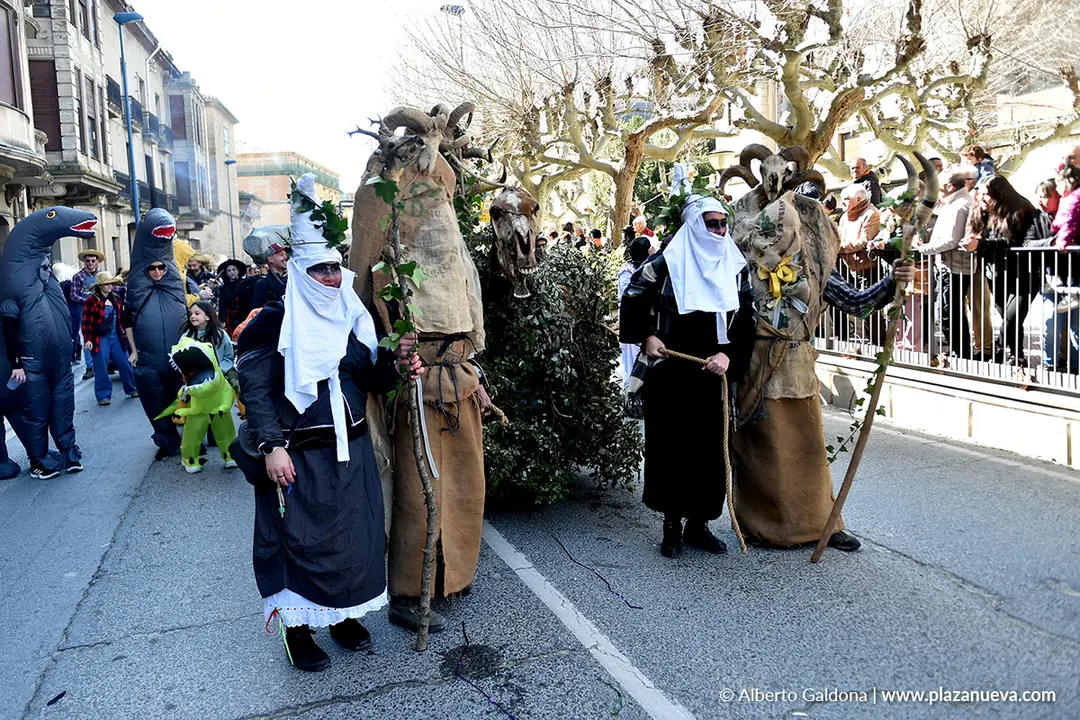 Carnaval en Tafalla 2026 74