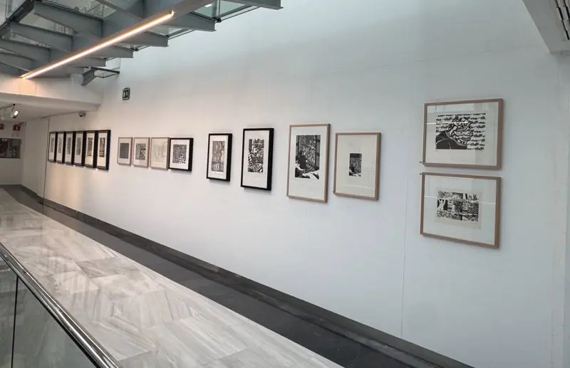 La muestra re&uacute;ne 80 obras que permiten recorrer su evoluci&oacute;n t&eacute;cnica y su aportaci&oacute;n decisiva a la gr&aacute;fica actual, marcada por el uso de la linograf&iacute;a como lenguaje pl&aacute;stico de alta potencia simb&oacute;lica y cr&iacute;tica