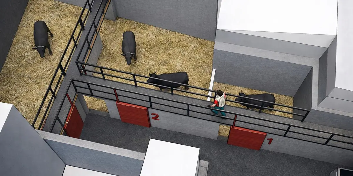 Render del nuevo corral fijo para vaquillas en Fusti&ntilde;ana 
