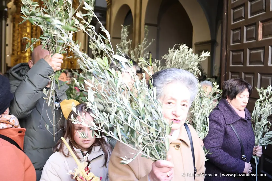 Domingo de Ramos en Tudela 2026 11