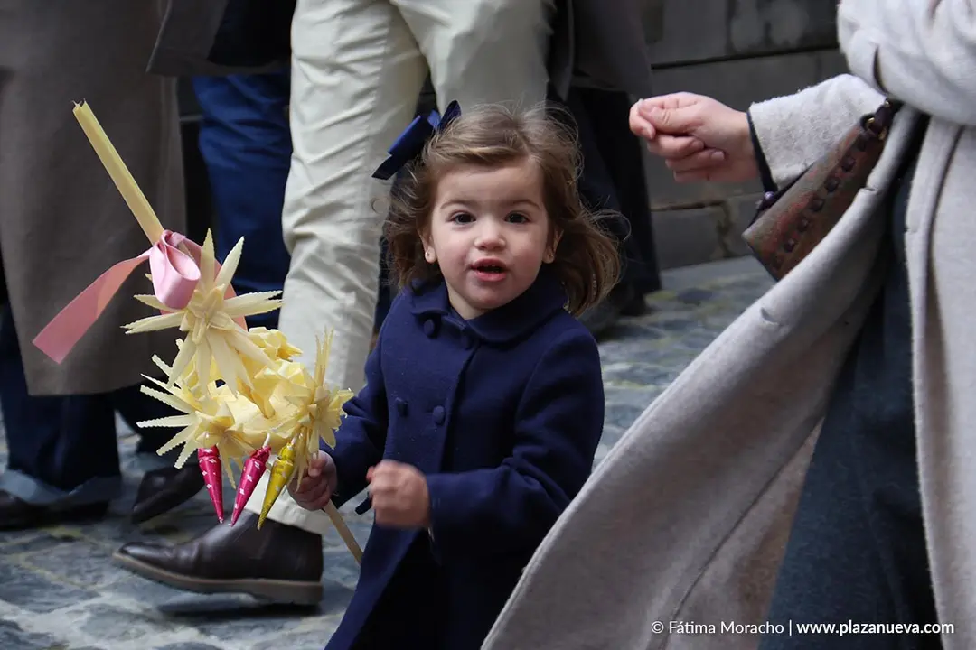 Domingo de Ramos en Tudela 2026 51