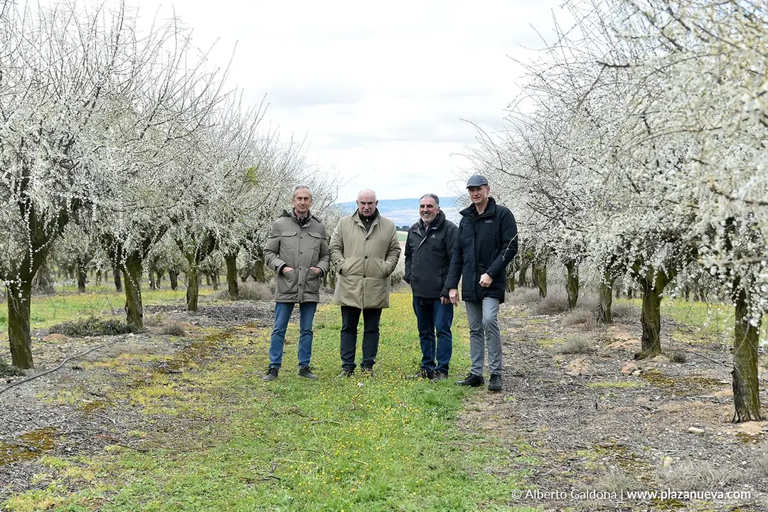 Fiesta de la Floraci&oacute;n del Endrino en Funes 2026 1