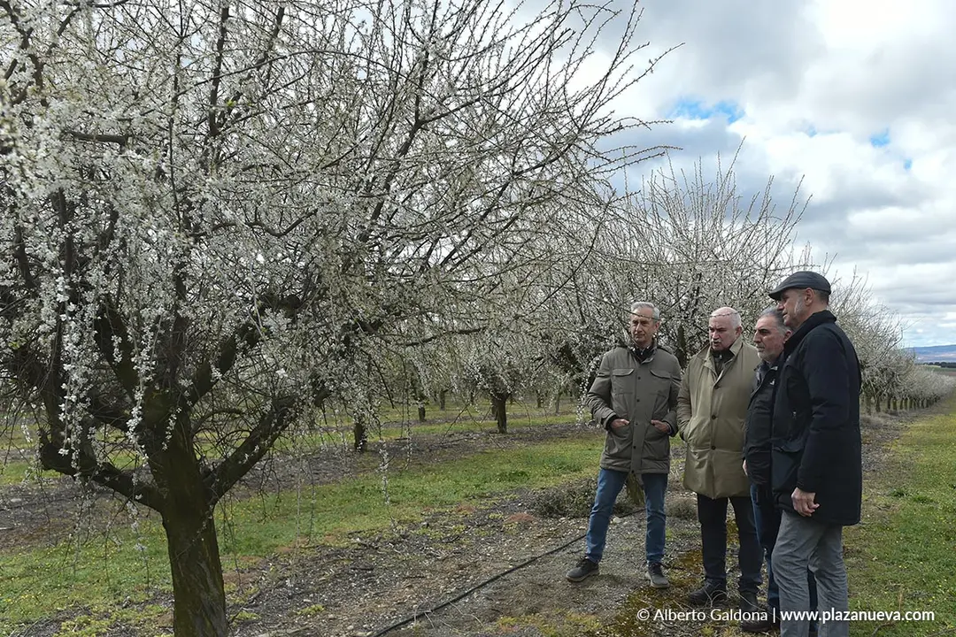 Fiesta de la Floraci&oacute;n del Endrino en Funes 2026 2