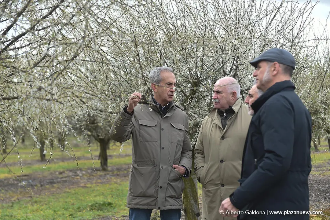 Fiesta de la Floraci&oacute;n del Endrino en Funes 2026 3