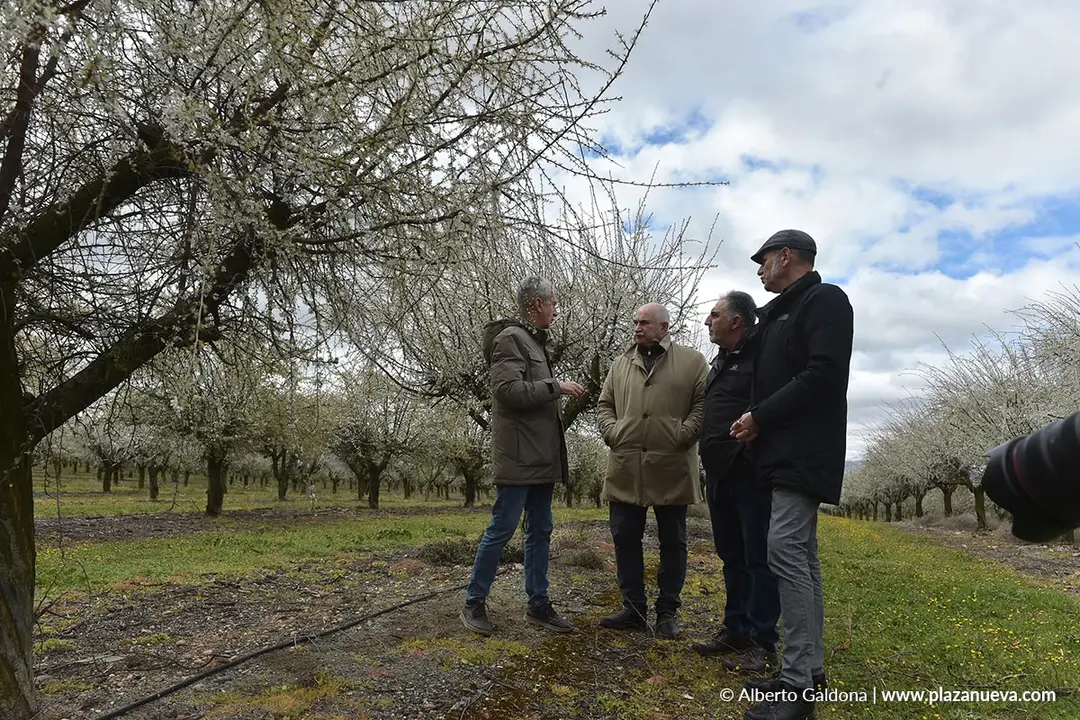 Fiesta de la Floraci&oacute;n del Endrino en Funes 2026 4