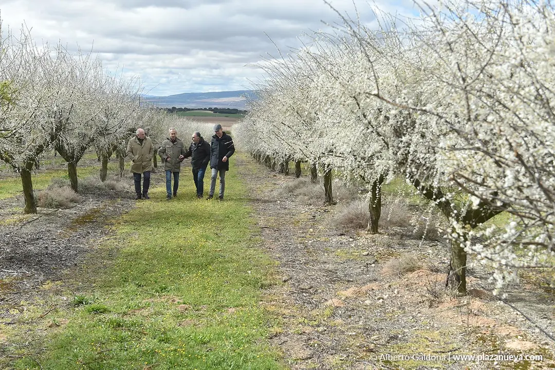 Fiesta de la Floraci&oacute;n del Endrino en Funes 2026 5