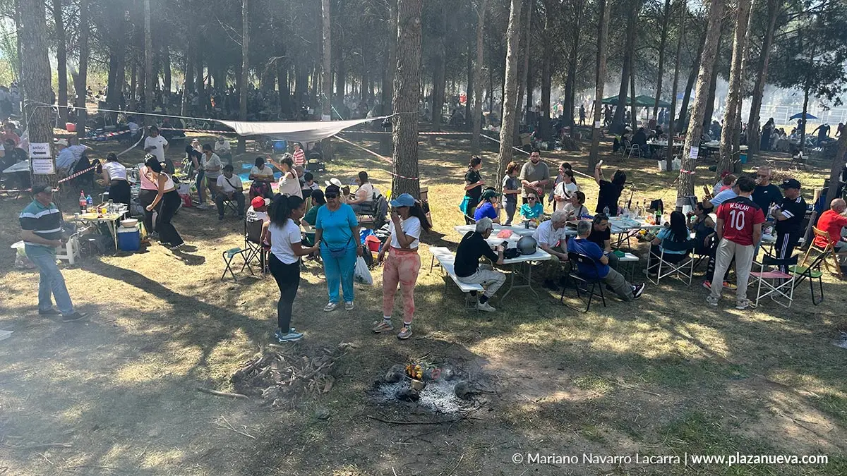 Fiestas de Nuestra Se&ntilde;ora del Villar en Corella 2026 13