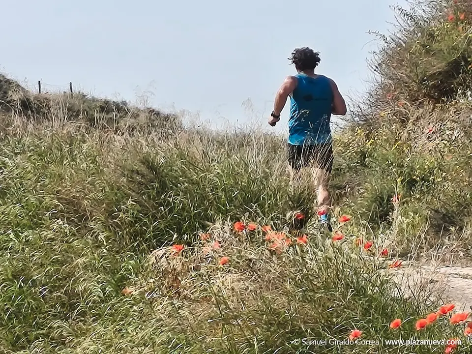 Trail Mirador de las Bardenas en Valtierra 2026 22
