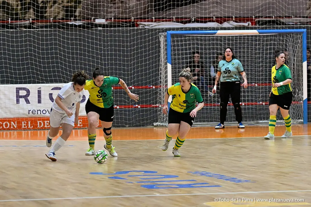 TUTERA_XOTA (15)