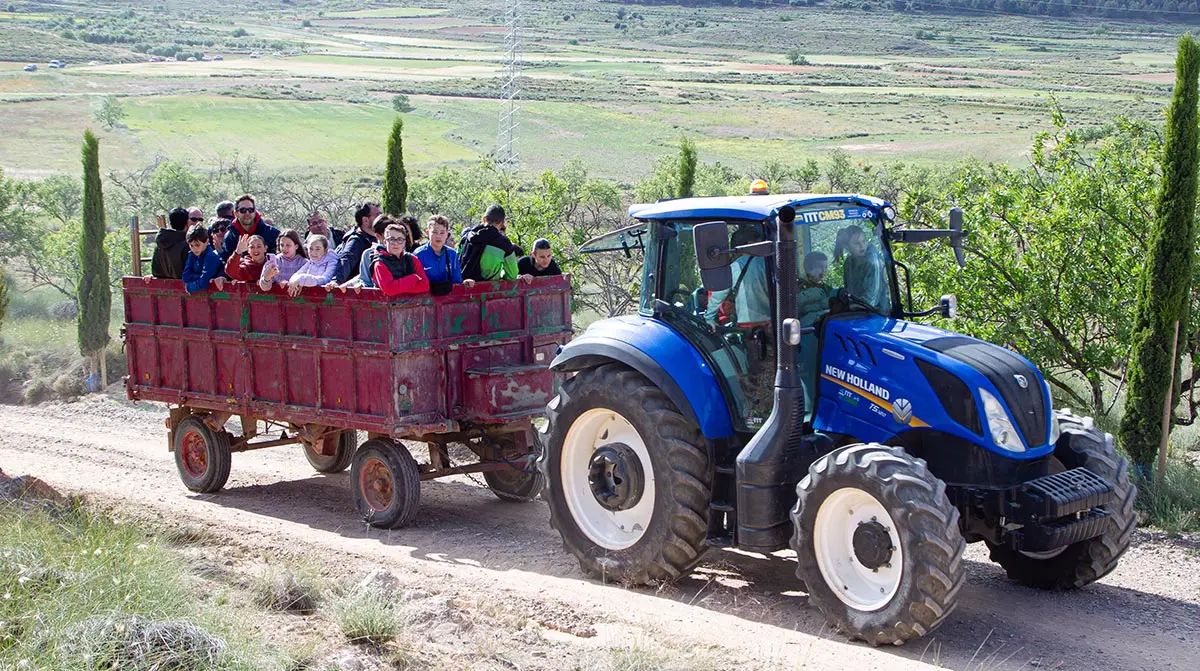 La Cruceta 2026 en Cascante 18