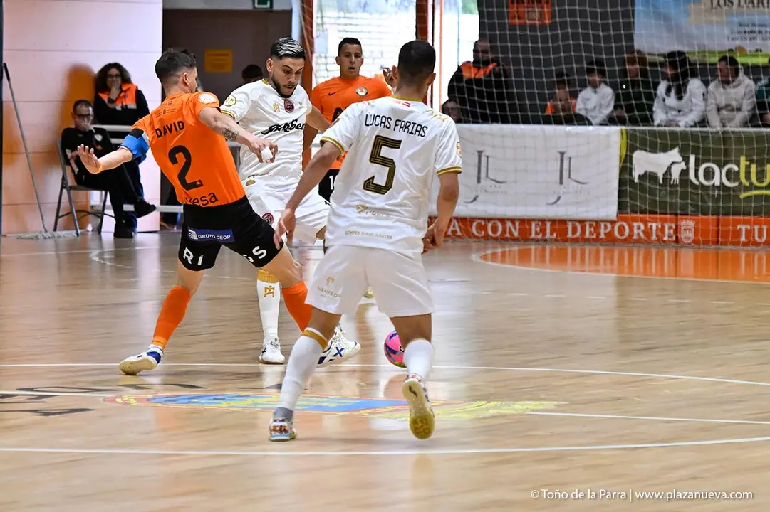 RIBERA NAVARRA JIMBEE (37)