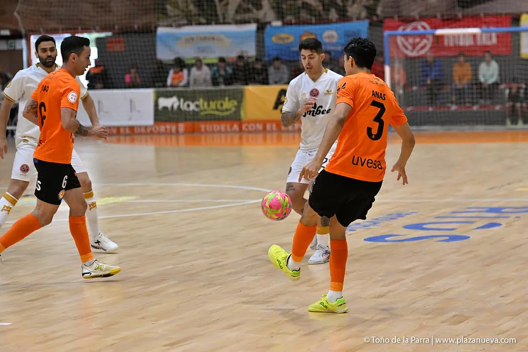 RIBERA NAVARRA JIMBEE (79)