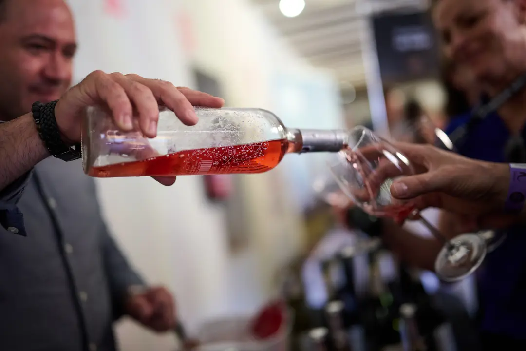 Vinofest en Tudela 2026 9