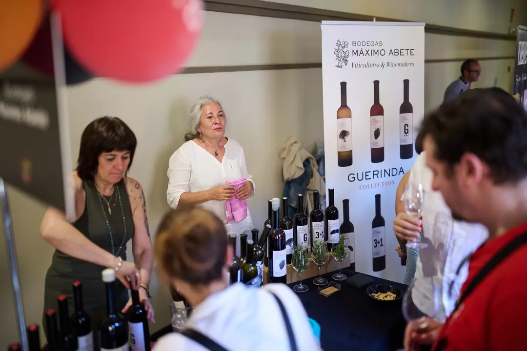 Vinofest en Tudela 2026 14