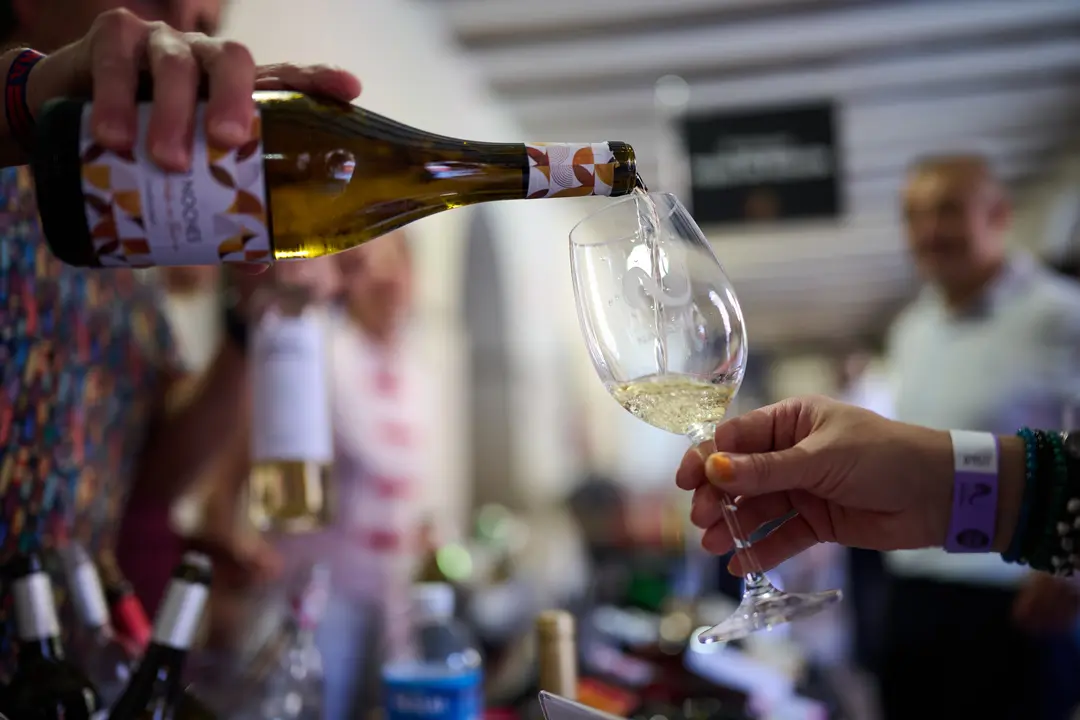 Vinofest en Tudela 2026 22