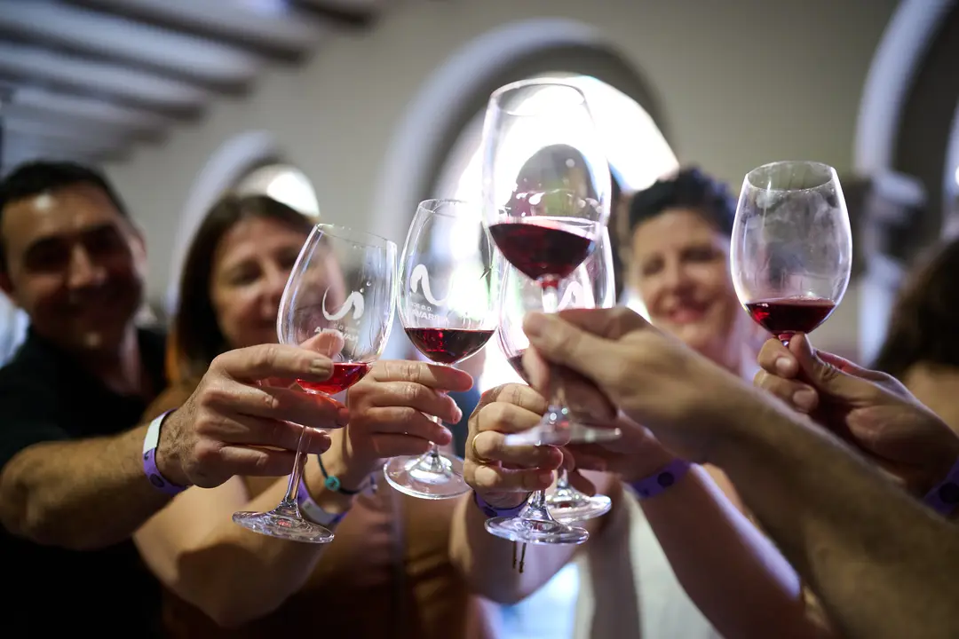 Vinofest en Tudela 2026 26