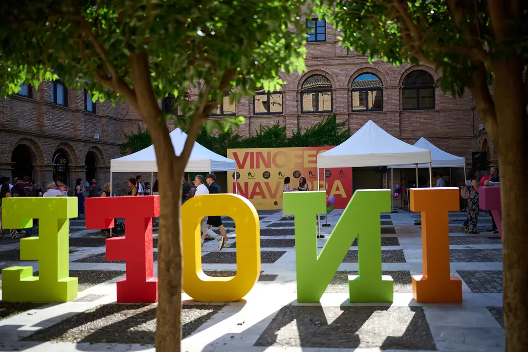 Vinofest en Tudela 2026 29