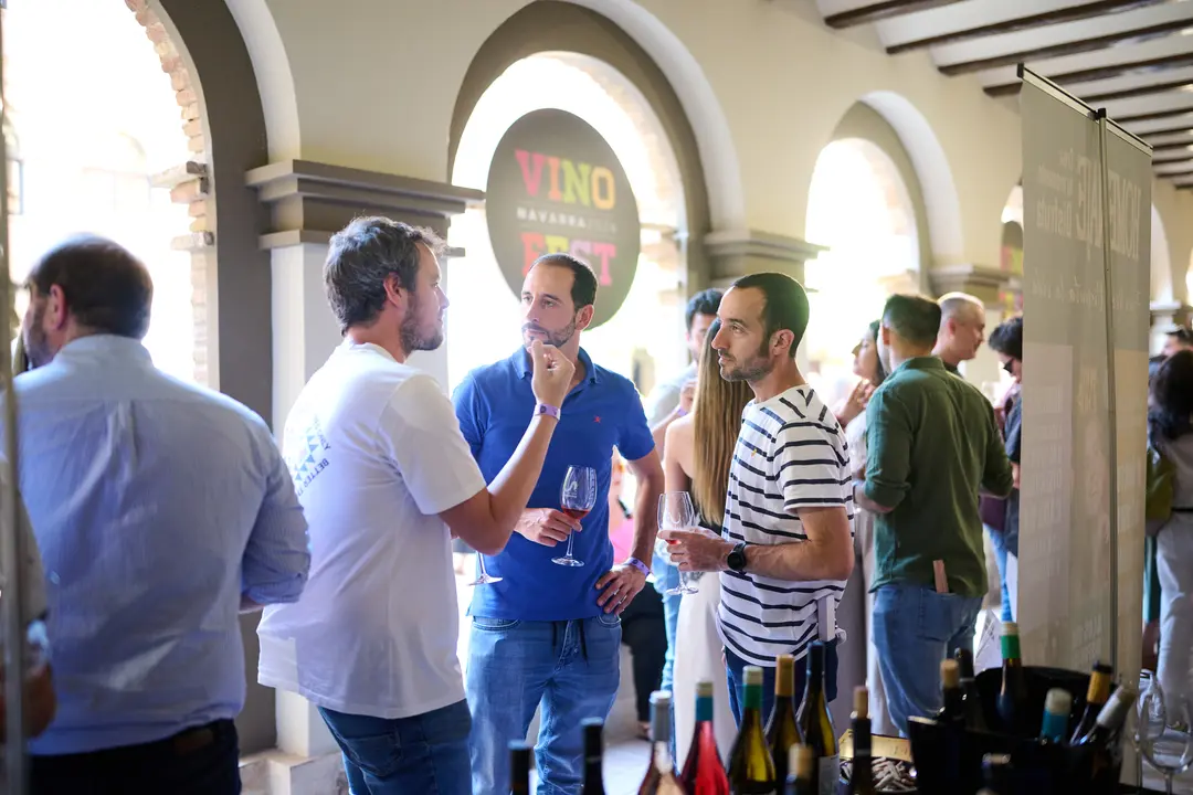 Vinofest en Tudela 2026 35