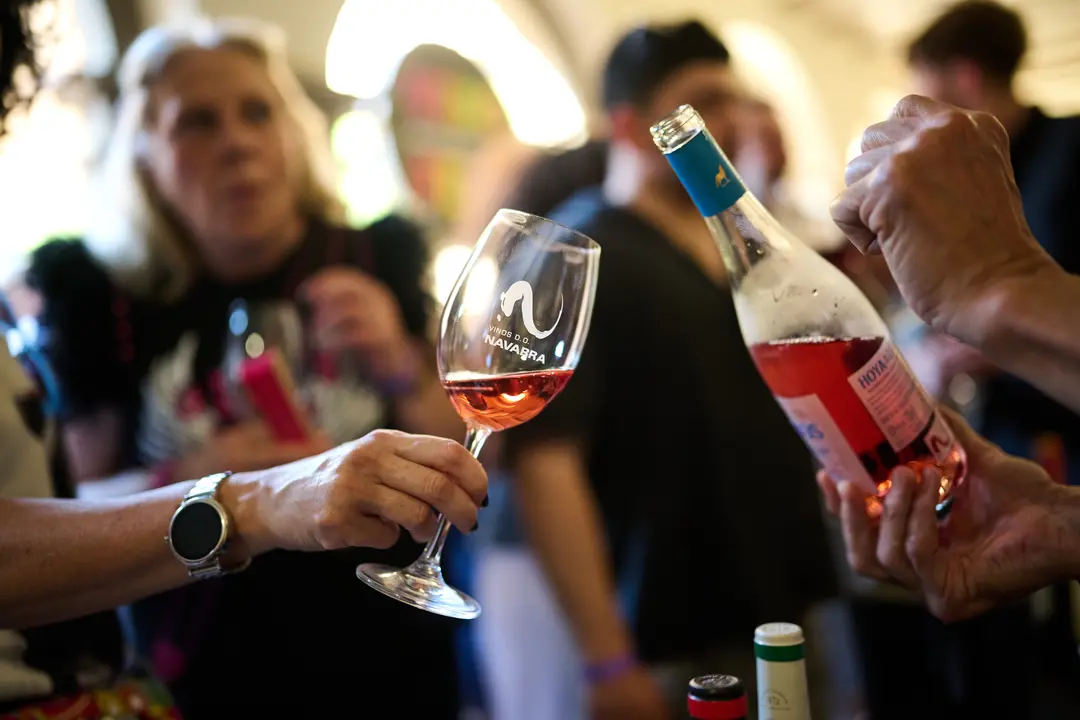 Vinofest en Tudela 2026 36