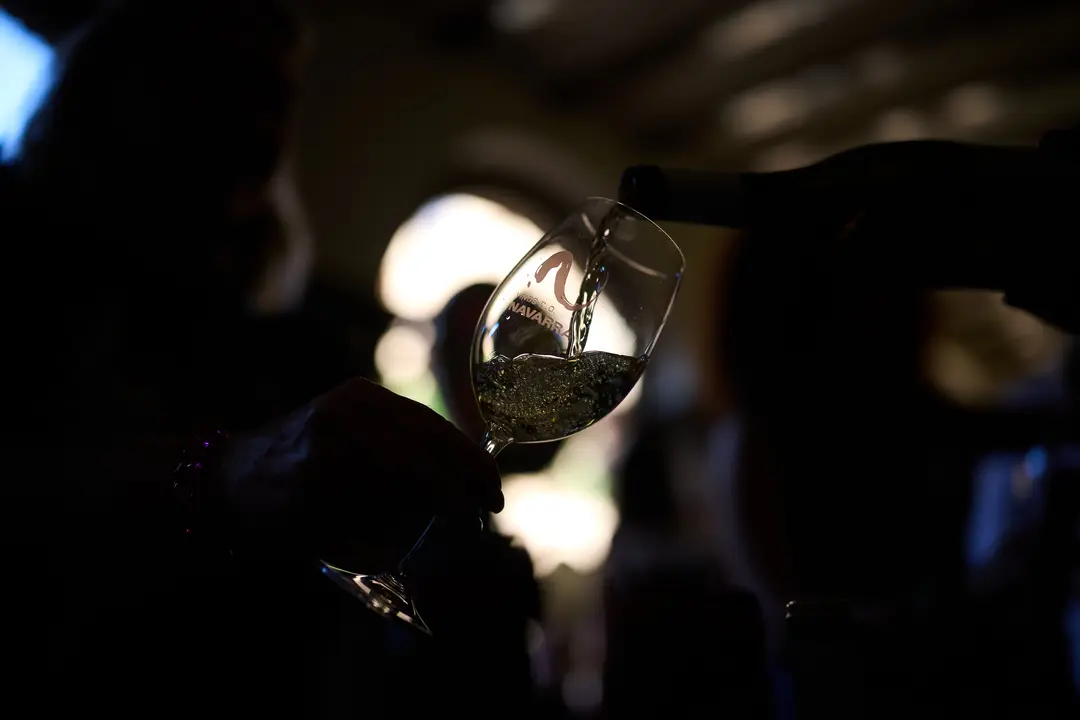 Vinofest en Tudela 2026 37