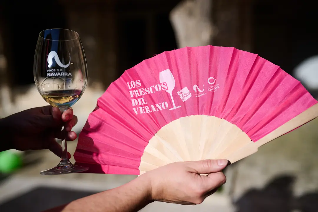 Vinofest en Tudela 2026 43