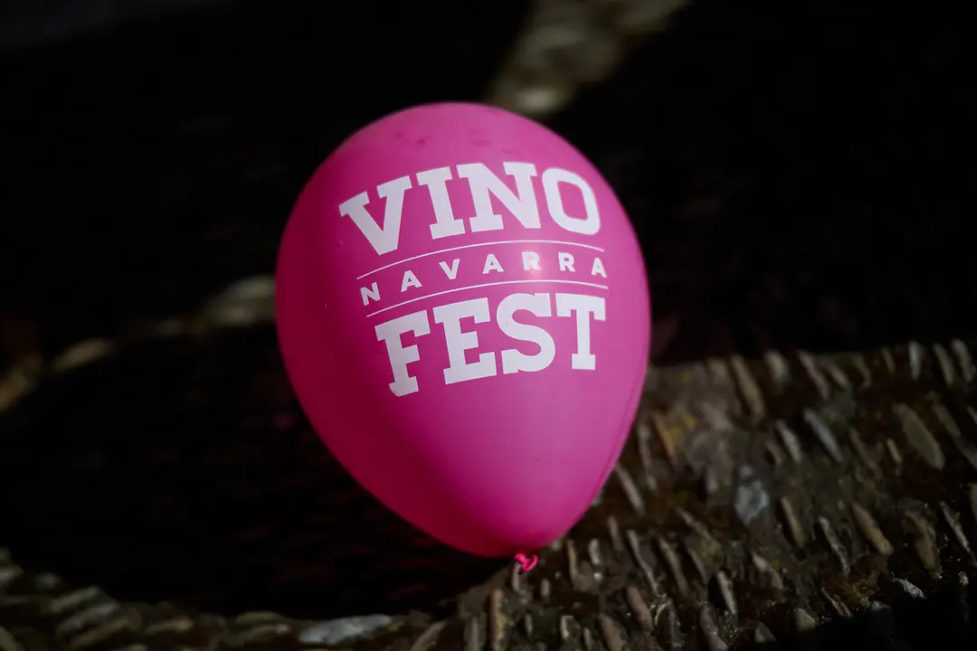Vinofest en Tudela 2026 66